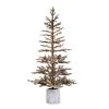 Discount 🥰 Haute Decor 5ft. LED Flocked Timberland Fir Potted Tree ⌛