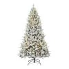 Flash Sale 🔥 7.5ft. Pre-Lit Flocked Churchill Fir Artificial 🔔 Christmas Tree , Color Changing LED Lights by Haute Decor ⌛