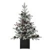 Deals 🌟 Haute Decor 3ft. Unlit Flocked Stockhorn Fir Artificial 🔔 Christmas Tree in Wooden Pot 🔔