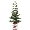 Best Pirce 😍 Haute Decor 24" Unlit Fir Artificial 🔔 Christmas Tree with Pinecones in Red Metal Pot 🔔