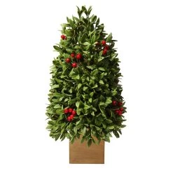 Best reviews of ✔️ Haute Decor 18" Unlit Boxwood with Berry Artificial 🎄 Christmas Tree in Wooden Pot 🥰