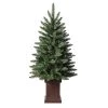 Wholesale 👍 Haute Decor 3.5ft. Unlit Berkeley Fir Artificial Potted 🎄 Christmas Tree 🥰