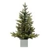 Outlet ✔️ Haute Decor 2.5ft. Pre-Lit Fraser Fir Artifical 🎅 Christmas Tree in Wooden Pot, Warm White LED Lights 🤩
